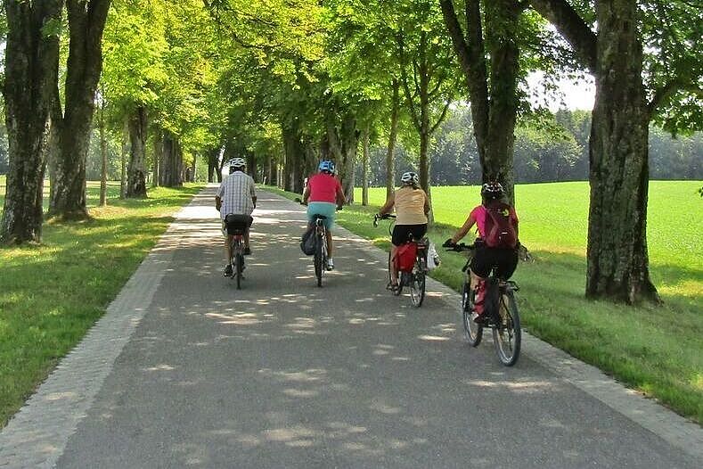 Radfahrer auf Radweg im Grünen